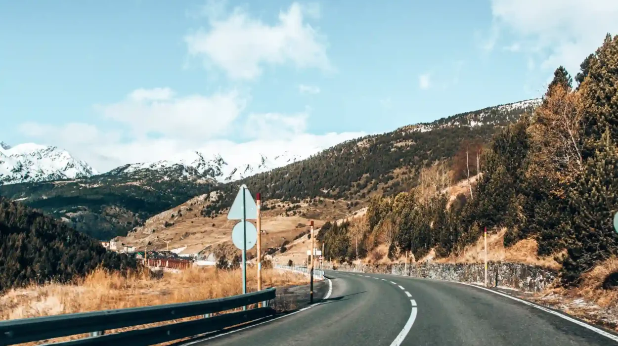 Lextranport consultores de tacógrafo