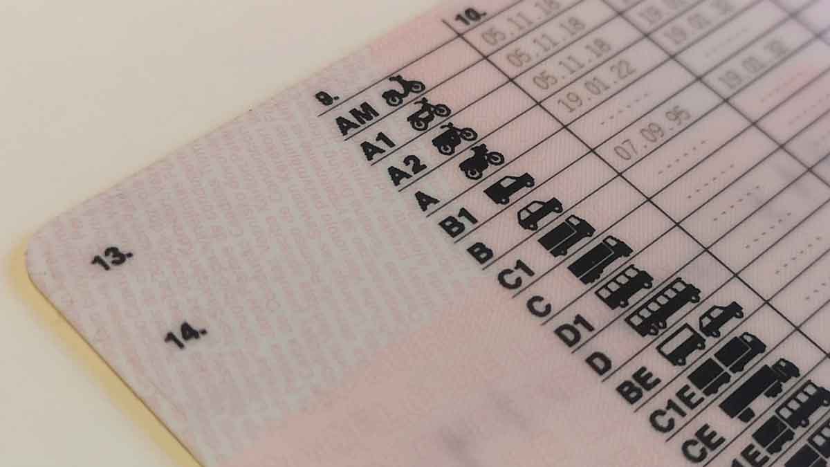 sistema de puntos dgt