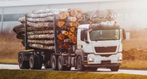 masas y dimensiones Orden PJC/780/2025